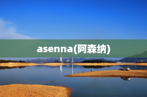 asenna(阿森纳)