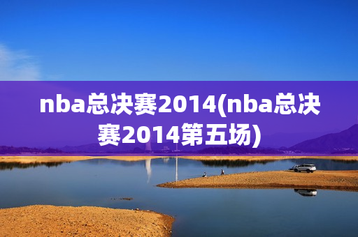 nba总决赛2014(nba总决赛2014第五场)