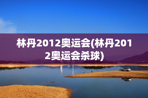 林丹2012奥运会(林丹2012奥运会杀球)