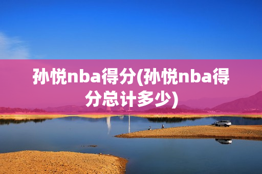 孙悦nba得分(孙悦nba得分总计多少)