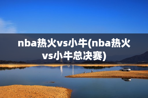nba热火vs小牛(nba热火vs小牛总决赛)