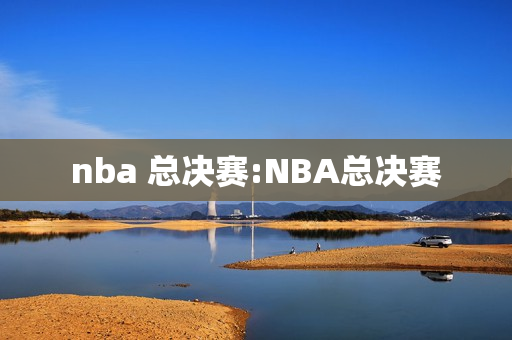 nba 总决赛:NBA总决赛
