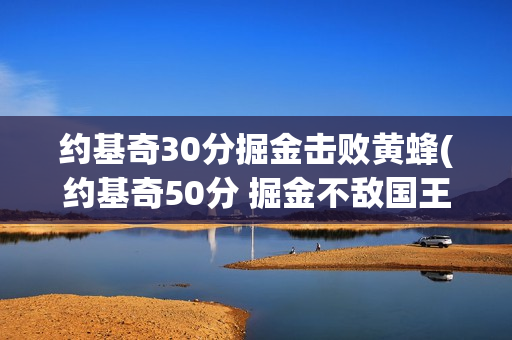 约基奇30分掘金击败黄蜂(约基奇50分 掘金不敌国王)