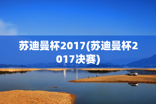 苏迪曼杯2017(苏迪曼杯2017决赛)