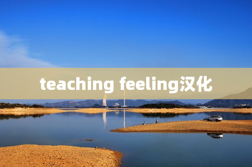 teaching feeling汉化