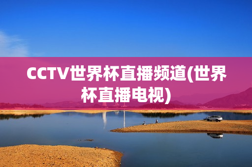 CCTV世界杯直播频道(世界杯直播电视)