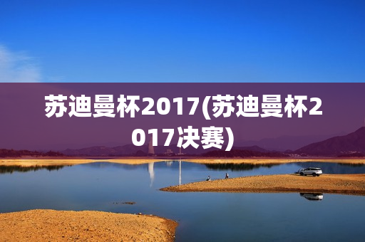 苏迪曼杯2017(苏迪曼杯2017决赛)