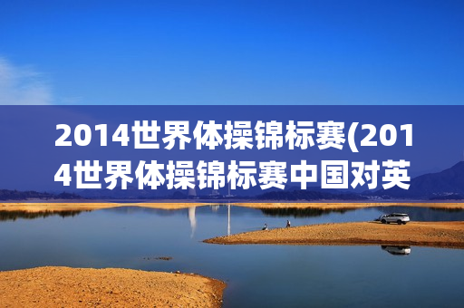 2014世界体操锦标赛(2014世界体操锦标赛中国对英国)