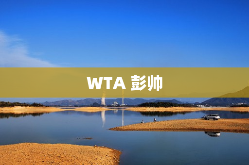 WTA 彭帅