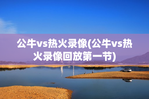公牛vs热火录像(公牛vs热火录像回放第一节)
