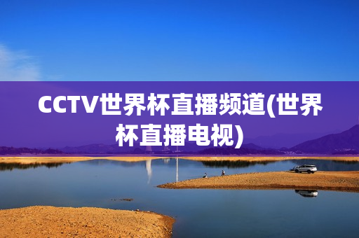 CCTV世界杯直播频道(世界杯直播电视)