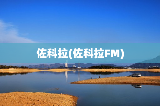 佐科拉(佐科拉FM)