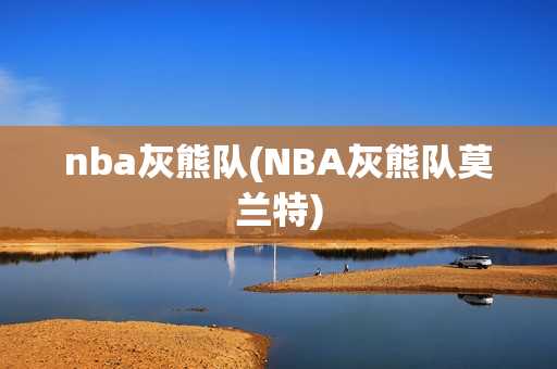 nba灰熊队(NBA灰熊队莫兰特)