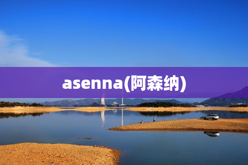 asenna(阿森纳)