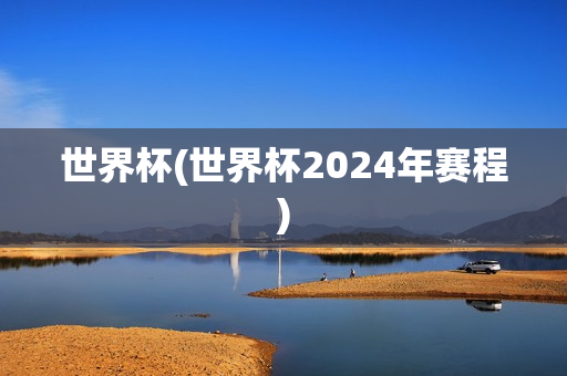 世界杯(世界杯2024年赛程)