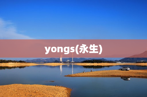 yongs(永生)