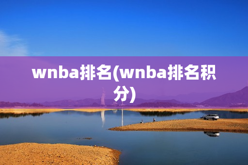 wnba排名(wnba排名积分)