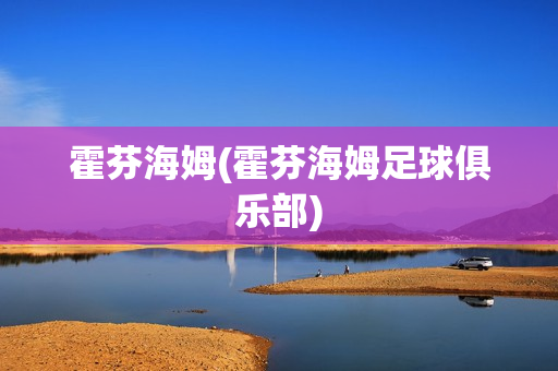 霍芬海姆(霍芬海姆足球俱乐部)