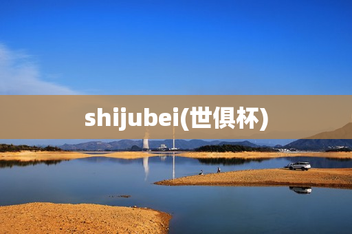 shijubei(世俱杯)